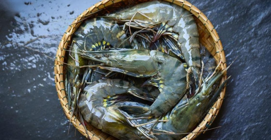 BT (3)-1_2023-01-16_12-01-52