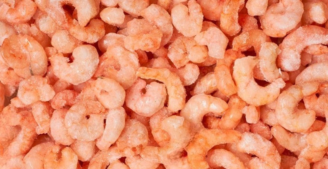 CT (4)-2_2023-01-16_11-59-07