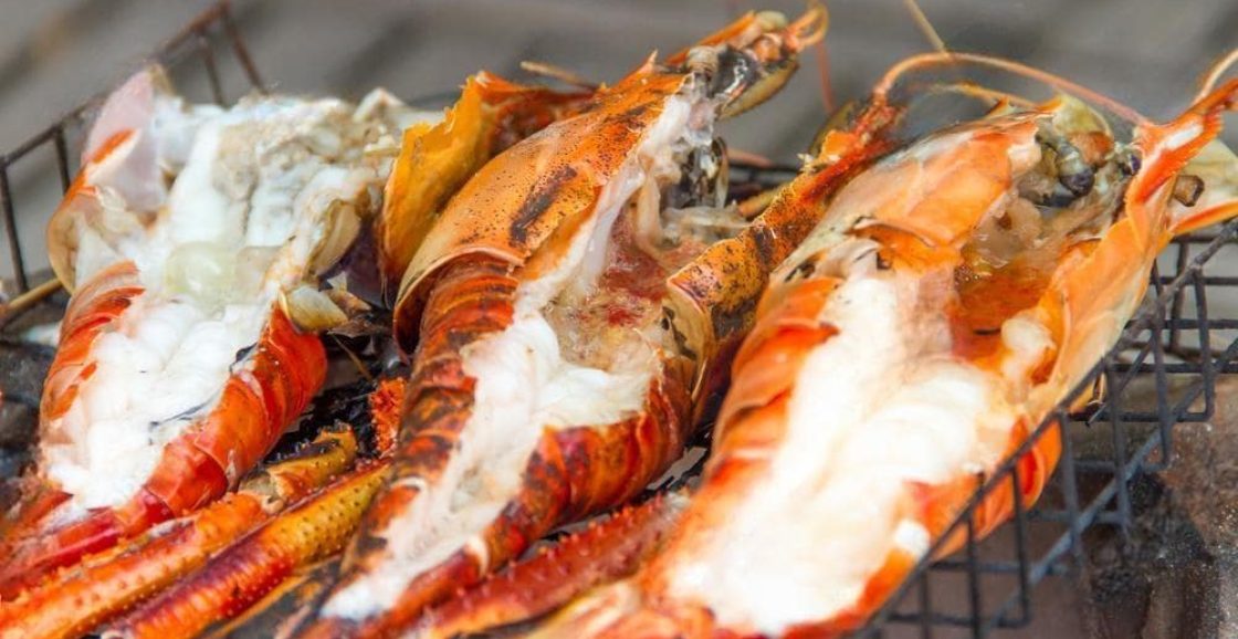 FW (10)-3_2023-01-16_11-58-34