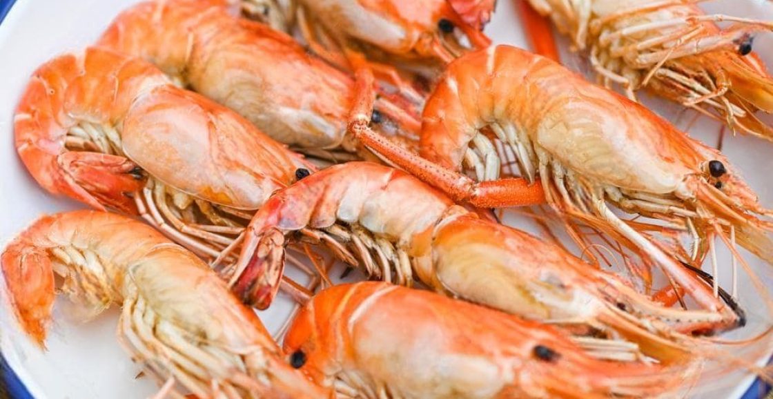 Fresh Water Shrimp/Scampi