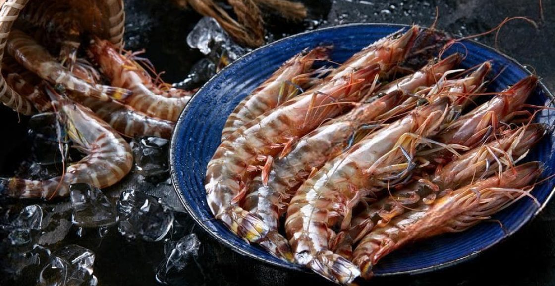 OT (1)-2_2023-01-16_12-03-11-min