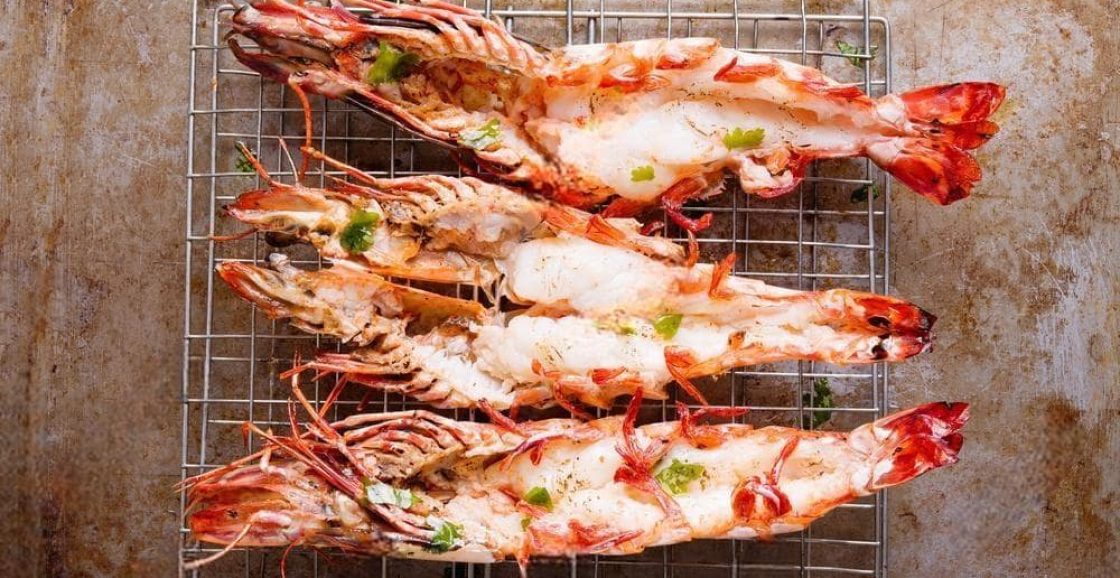 Sea Catch Ocean Tiger