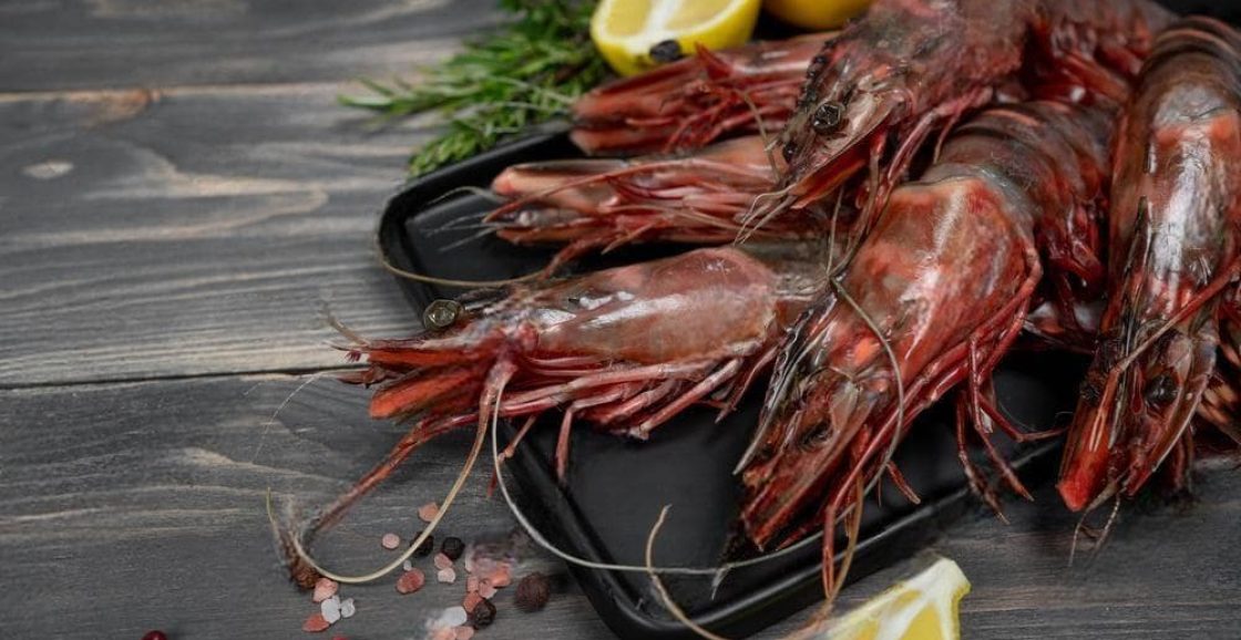 OT (6)-1_2023-01-16_12-02-52-min